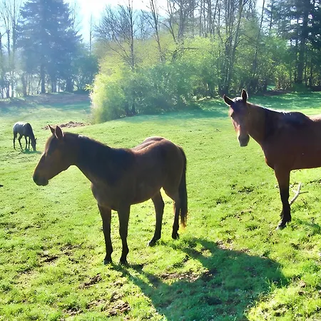 Le Grangeon Des Marais Frühstückspension Cormaranche-en-Bugey